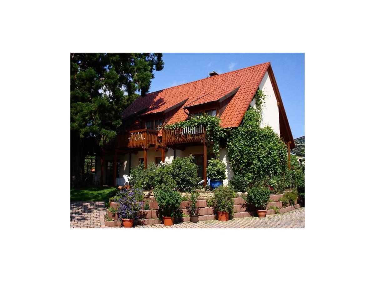 Gaestehaus Hellmer Нойштадт-ан-дер-Вайнштрасе Екстер'єр фото